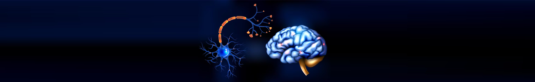 Understanding the Application of Neuroscience in UX