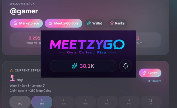 MeetzyGo